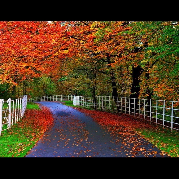 🍁WELCOME FALL🍂 - Picture 6 of 7